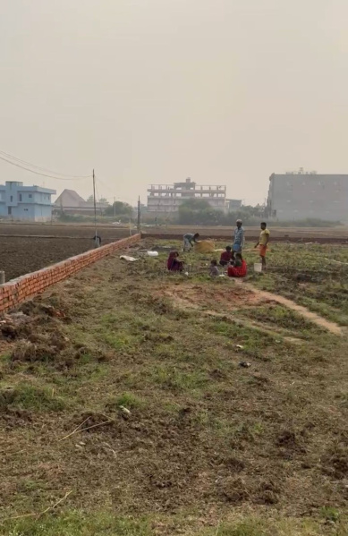  1200 Sq.ft. Residential Plot for Sale in Beldari Chak, Patna