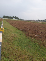  Residential Plot for Sale in Vayalur Road, Tiruchirappalli