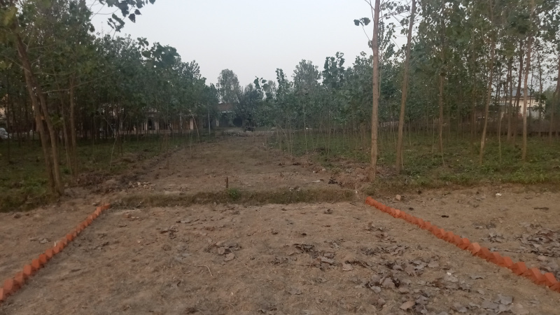  10 Bigha Commercial Land for Sale in Kemri, Rampur