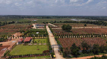 Agricultural Land for Sale in Gudibanda, ChikBallapur