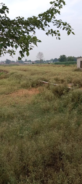  4554 Sq.ft. Residential Plot for Sale in Sitapur Road, Sitapur Road, Lucknow