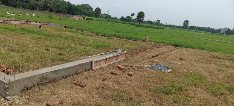  1200 Sq.ft. Residential Plot for Sale in Bihta, Patna