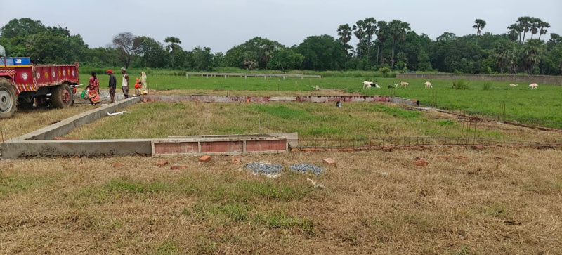  1200 Sq.ft. Residential Plot for Sale in Bihta, Patna
