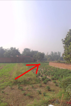  Agricultural Land for Sale in Ramaipur, Kanpur