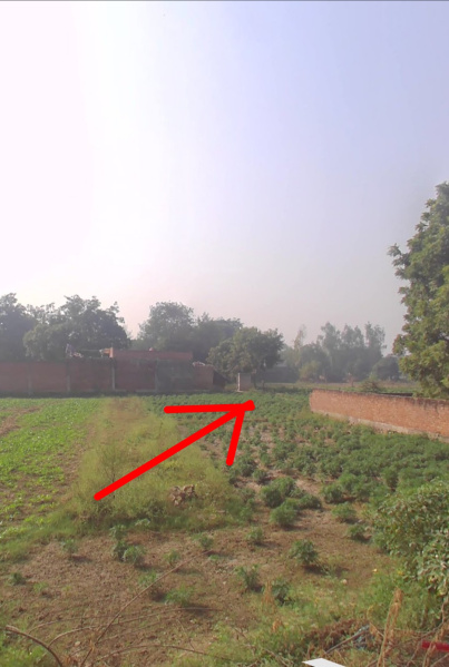  4 Biswa Agricultural/Farm Land for Sale in Ramaipur, Kanpur