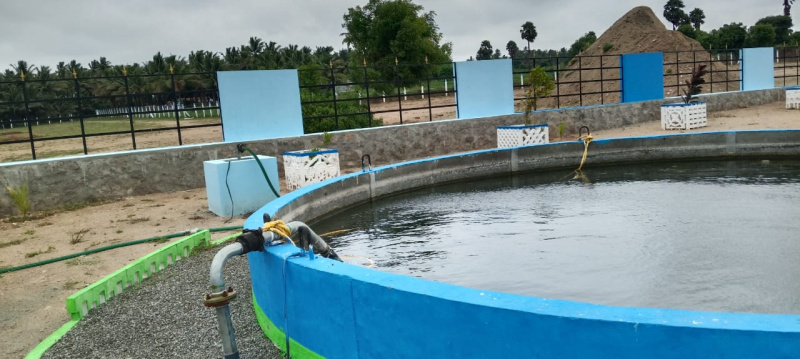  432 Sq.ft. Residential Plot for Sale in Kinathukadavu, Coimbatore