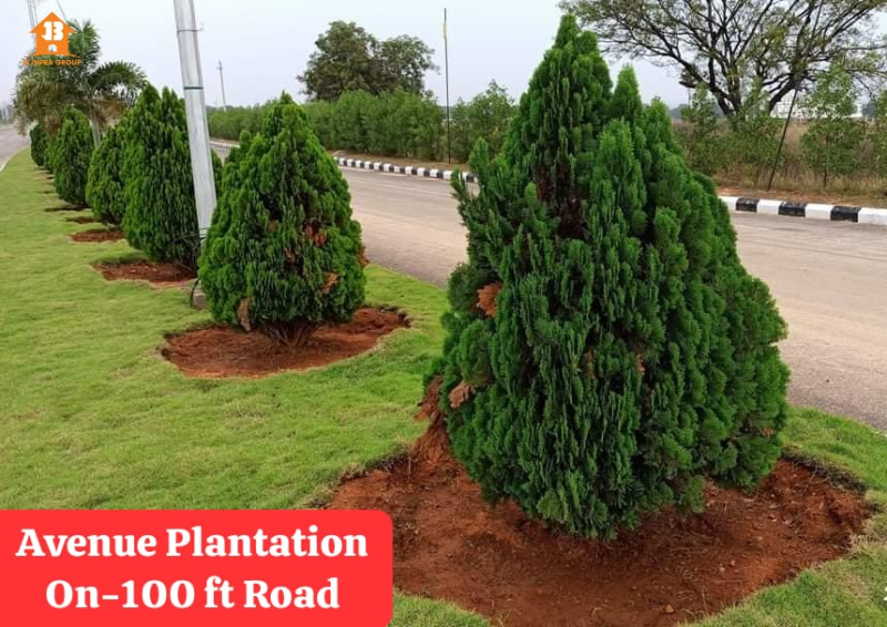 200 Sq. Yards Residential Plot for Sale in Chotuppal, Hyderabad