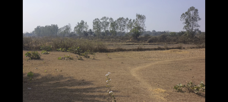  60 Bigha Agricultural/Farm Land for Sale in Kotulpur, Bankura
