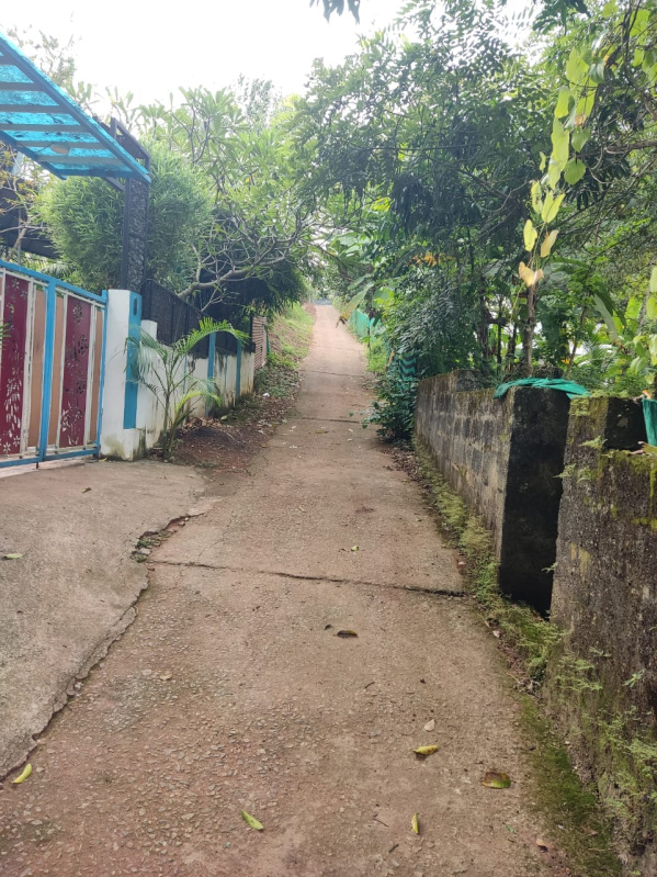  9 Cent Residential Plot for Sale in Kottiyam, Kollam