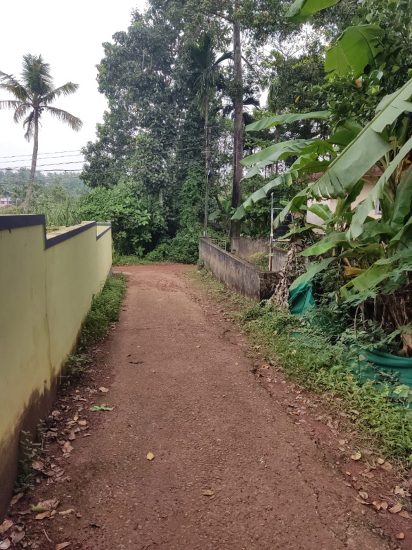  9 Cent Residential Plot for Sale in Kottiyam, Kollam
