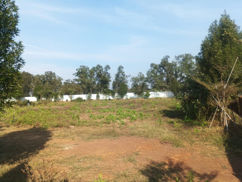  Commercial Land for Rent in Janjgiri, Bhilai, Durg