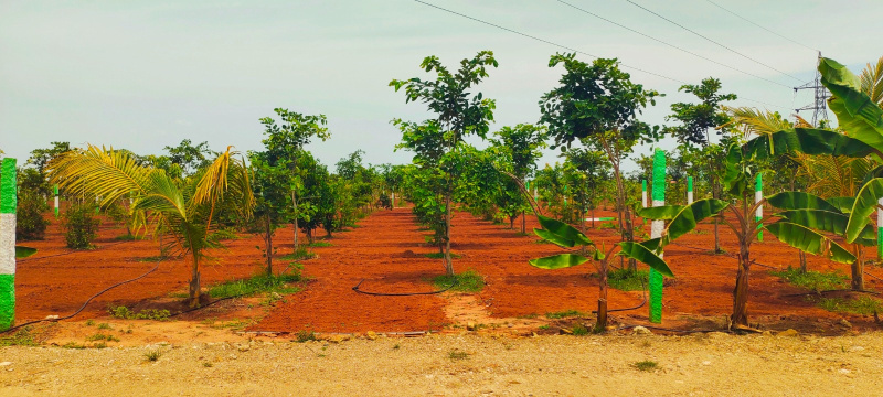  9600 Sq.ft. Agricultural/Farm Land for Sale in Maduranthakam, Chengalpattu