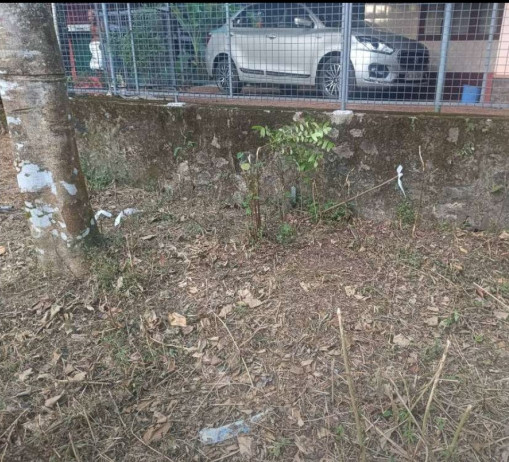  25 Cent Residential Plot for Sale in Vaikom, Kottayam