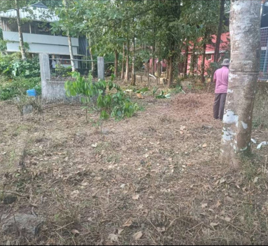  25 Cent Residential Plot for Sale in Vaikom, Kottayam