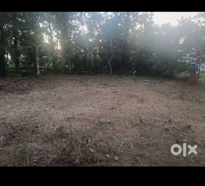  25 Cent Residential Plot for Sale in Vaikom, Kottayam