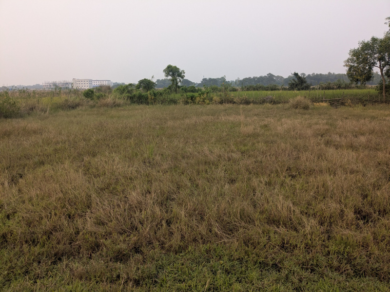 2614 Sq.ft. Residential Plot for Sale in Remuna, Baleswar