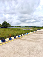  Residential Plot for Sale in Trichy Madurai Road, Tiruchirappalli