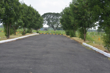 Residential Plot for Sale in Narasaraopet, Guntur