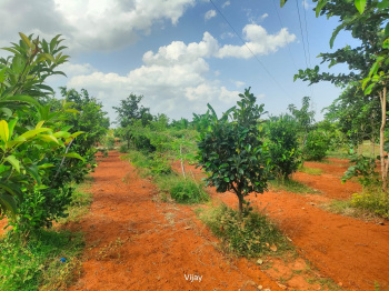 Agricultural Land for Sale in Maduranthakam, Chengalpattu