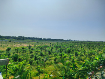 Agricultural Land for Sale in Maduranthakam, Chengalpattu
