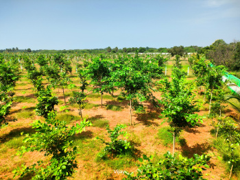  Agricultural Land for Sale in Maduranthakam, Chengalpattu