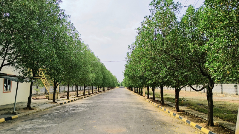  1500 Sq.ft. Residential Plot for Sale in Whitefield, Bangalore