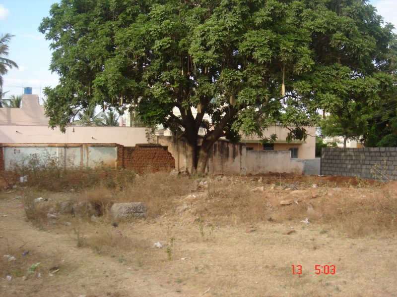  17249 Sq.ft. Commercial Land for Sale in Nazarbad, Mysore