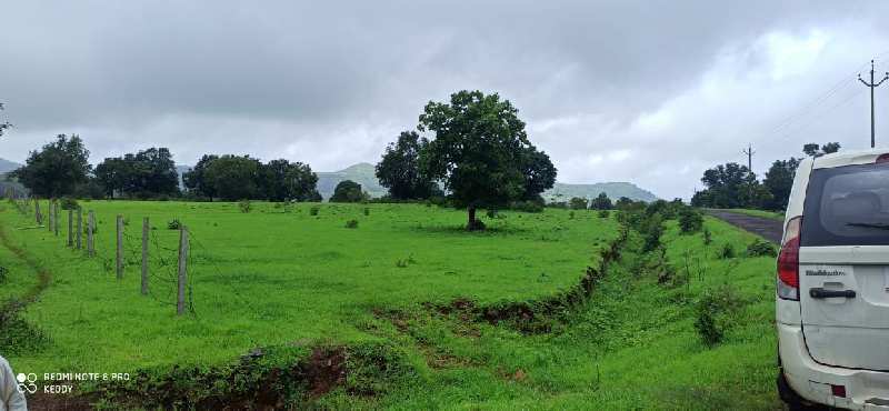  Agricultural Land 5 Acre for Sale in Igatpuri, Nashik