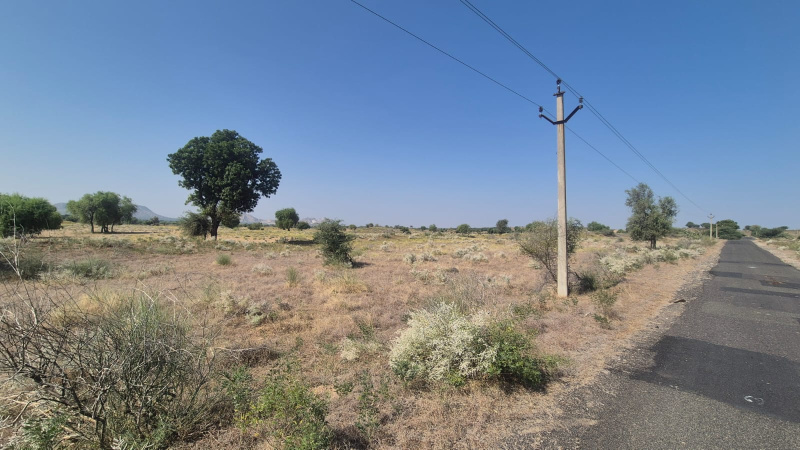  8 Hectares Agricultural/Farm Land for Sale in Ahore, Jalor