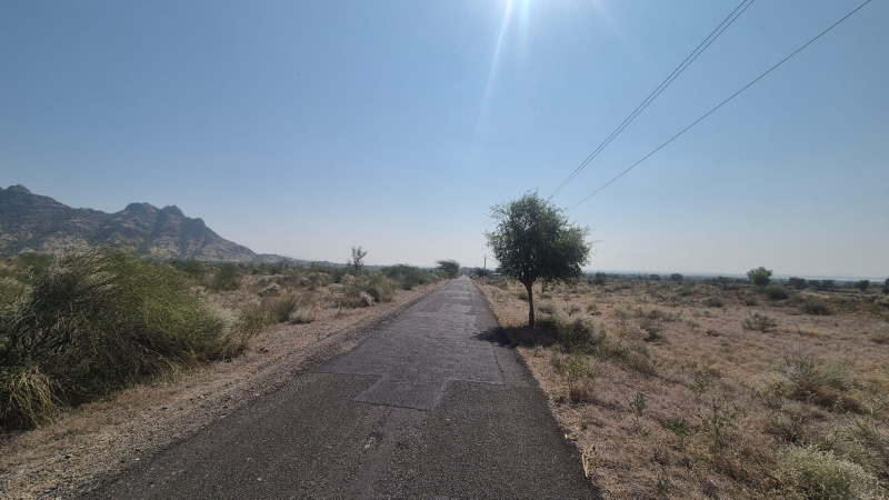  8 Hectares Agricultural/Farm Land for Sale in Ahore, Jalor