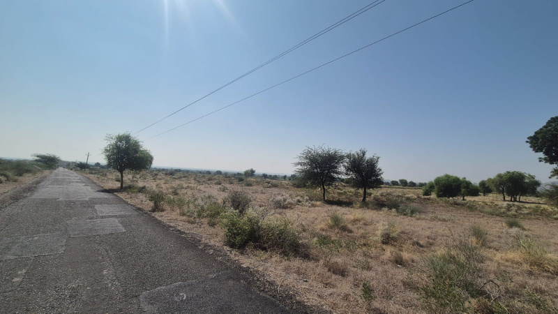  8 Hectares Agricultural/Farm Land for Sale in Ahore, Jalor