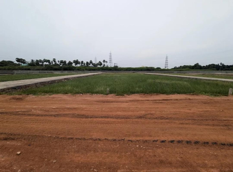 Additional image 2 of Paravai, Madurai