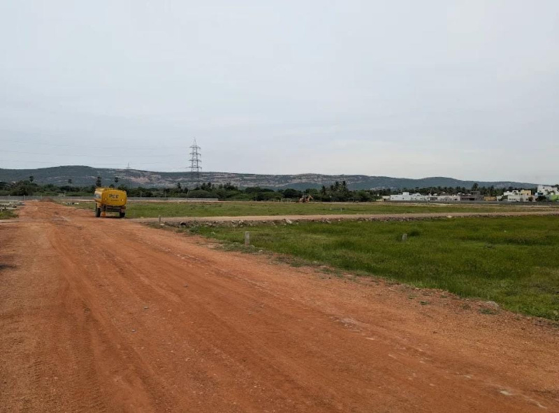 Additional image 3 of Paravai, Madurai