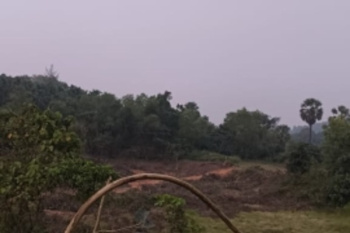  Residential Plot for Sale in Bantwal, Dakshin Kannad