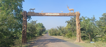 Agricultural Land for Sale in Chincholi, Gulbarga