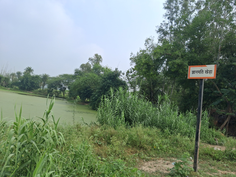  4 Bigha Agricultural/Farm Land for Rent in Haidergarh, Barabanki