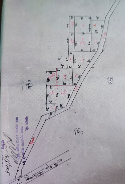  9 Acre Agricultural/Farm Land for Sale in Tauru, Nuh
