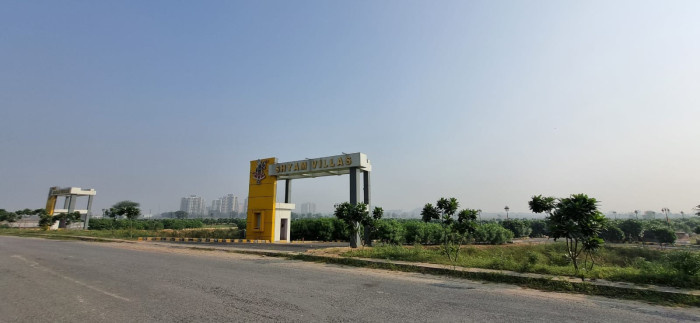  196 Sq. Yards Residential Plot for Sale in Sector 23 Dharuhera
