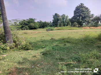  Residential Plot for Sale in Cheyyar, Tiruvannamalai