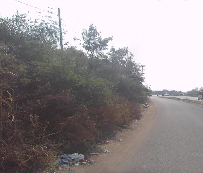  4 Acre Agricultural/Farm Land for Sale in Khed Shivapur, Pune