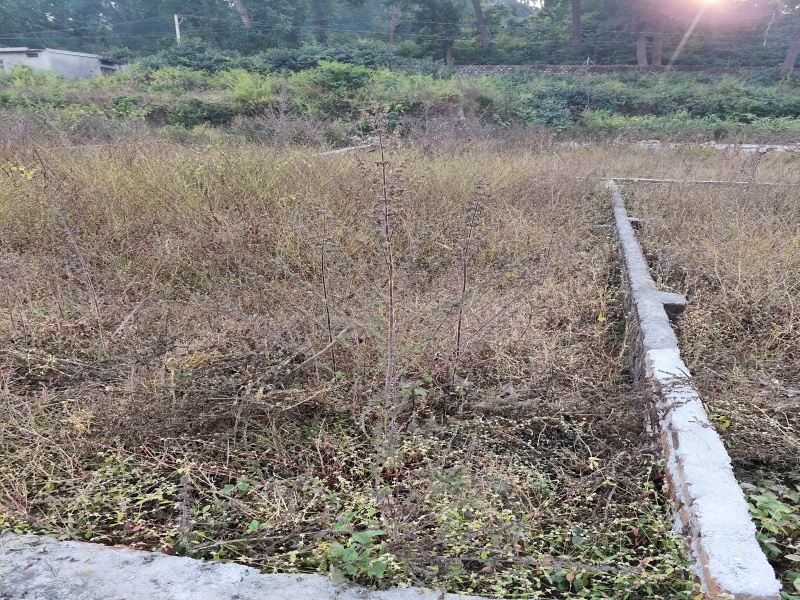  110 Sq. Yards Residential Plot for Sale in Haridwar Road, Rishikesh