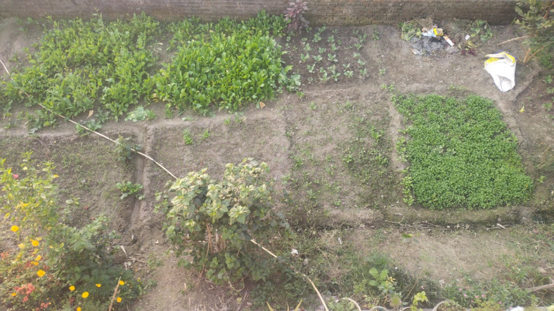  938 Sq.ft. Residential Plot for Sale in Nagla, Udham Singh Nagar