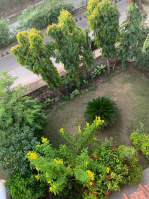  Office Space for Rent in Station Main Rd, Kota