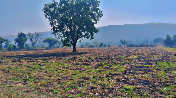 1 BHK Farm House for Sale in Khandwa Road, Indore