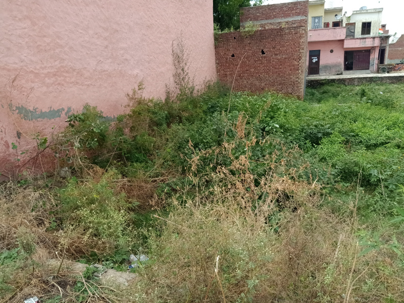  1800 Sq.ft. Residential Plot for Sale in Modinagar, Ghaziabad