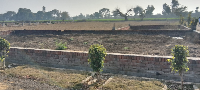 100 Sq. Yards Residential Plot for Sale in Khair, Aligarh