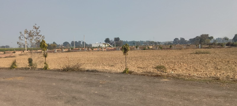  1 Bigha Residential Plot for Sale in Yamuna Expressway, Aligarh