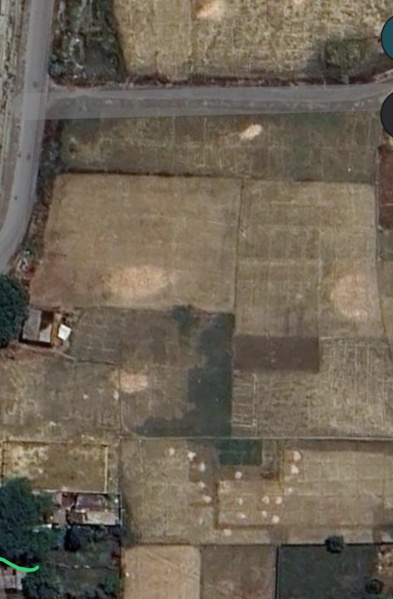  8 Biswa Agricultural/Farm Land for Sale in Sirkoni, Jaunpur