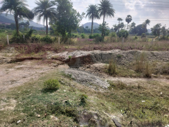  Agricultural Land for Sale in Kotabommali, Srikakulam