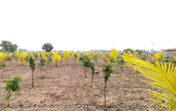  Agricultural Land for Sale in Walajabad, Chennai